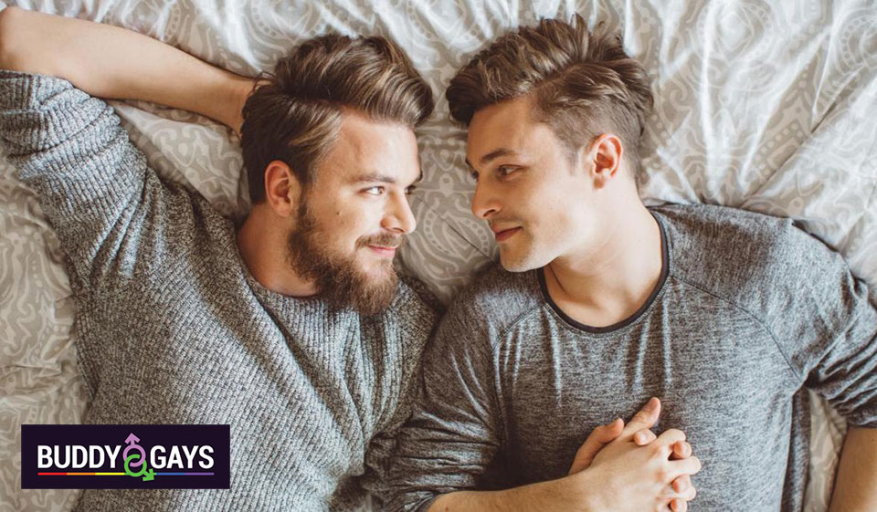 BuddyGays Review - What Do We Know About It